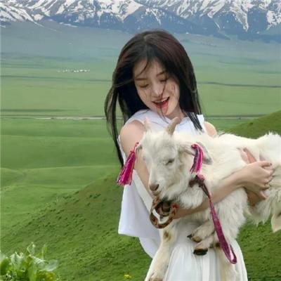 九爷换我来爱你